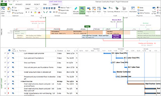 Microsoft Project | Be efficient and prioritize